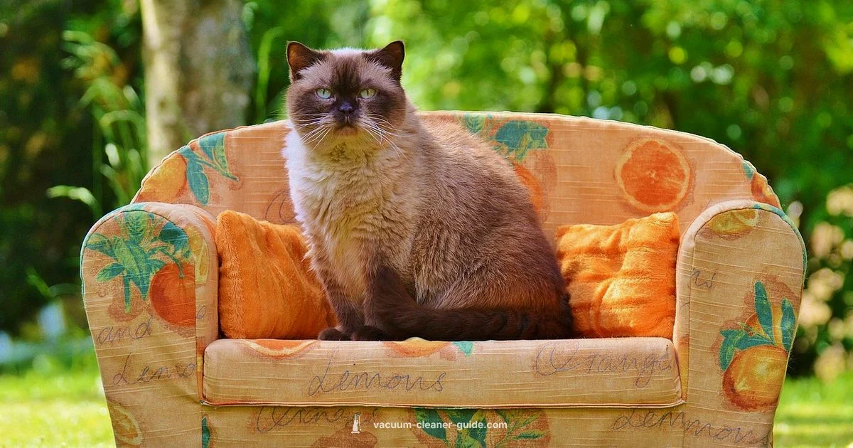 Pet Hair Power - Vacuum Cleaner Guide