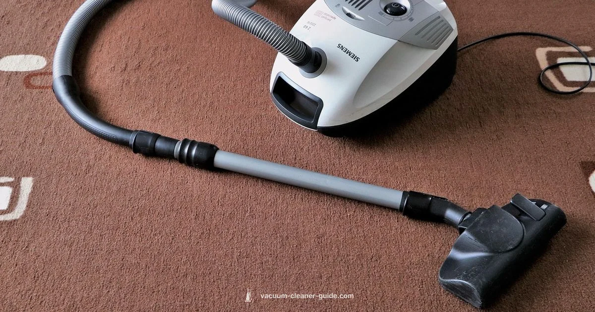 Best Carpet Vacuums 2026 - Vacuum Cleaner Guide