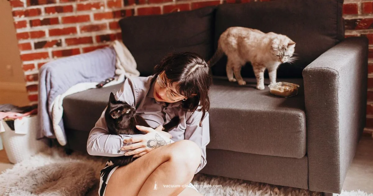 Bissell Handheld Vacuum - Vacuum Cleaner Guide