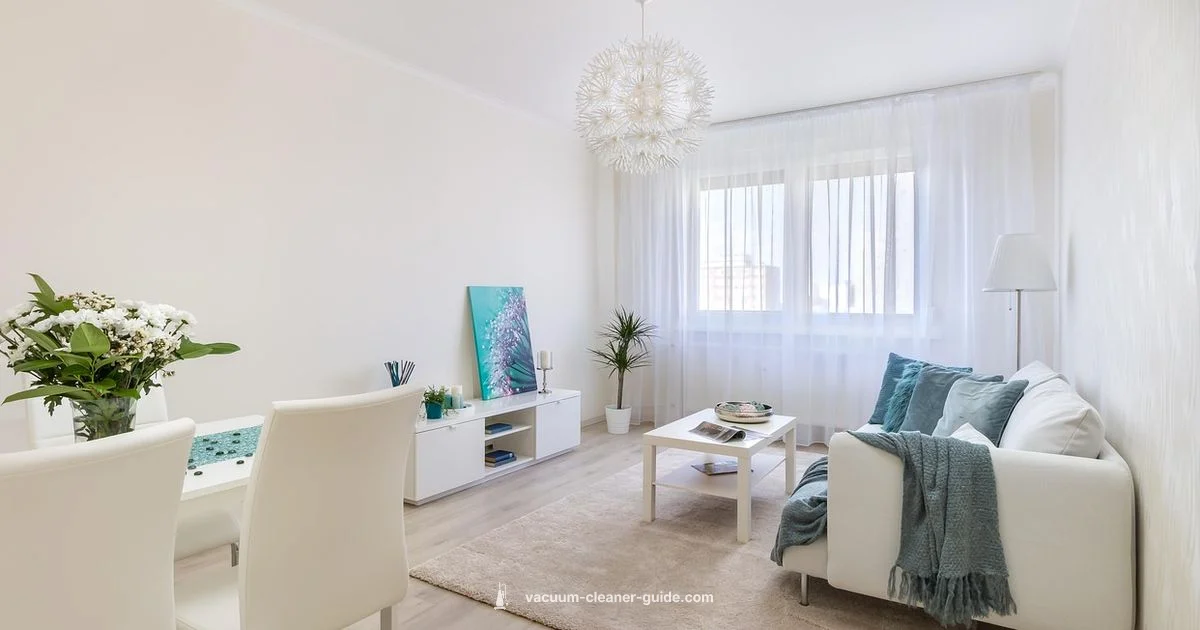 Good Vacuum Guide - Vacuum Cleaner Guide