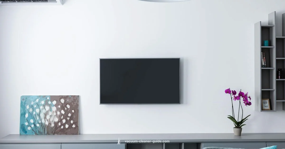 Purple Dyson Review - Vacuum Cleaner Guide