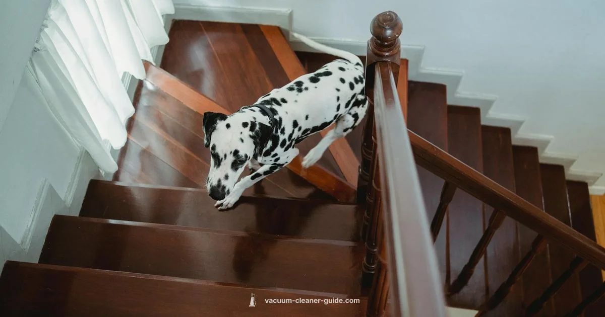 Pet Hair Mastery - Vacuum Cleaner Guide