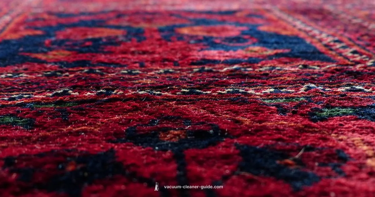 Carpet Cleaner Guide - Vacuum Cleaner Guide