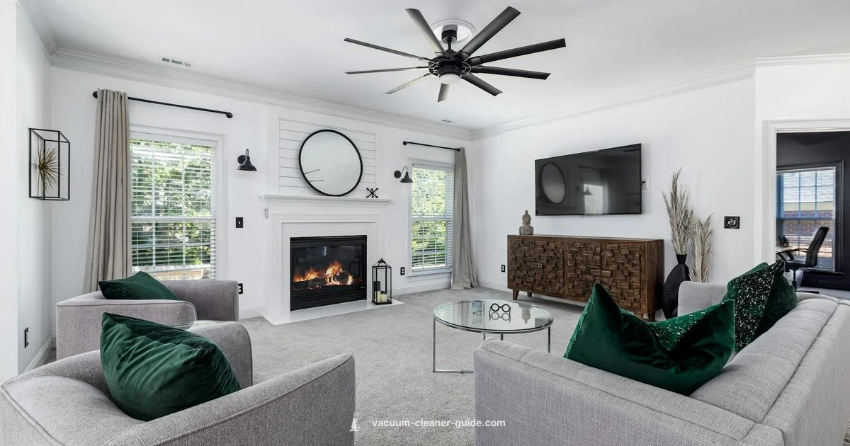 Shark Auto Vacuum - Vacuum Cleaner Guide