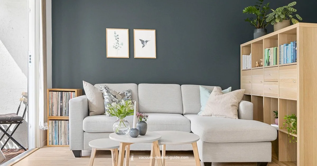 Plush Carpet Care - Vacuum Cleaner Guide