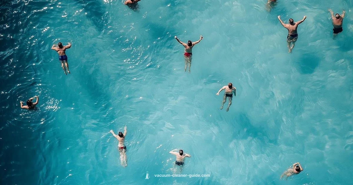 Zodiac Pool Cleaner - Vacuum Cleaner Guide