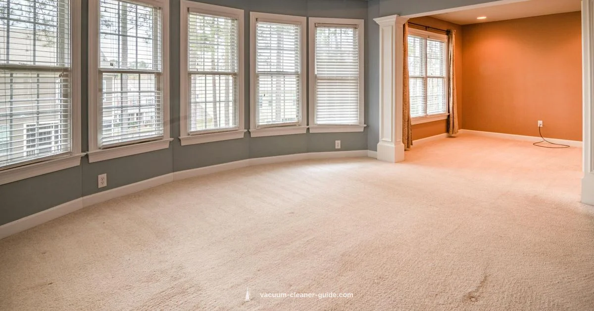 Best Vacuums 2026 - Vacuum Cleaner Guide