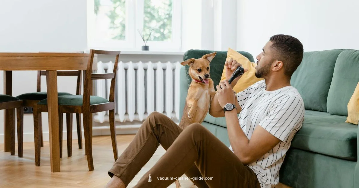 Pet Hair Clean-Up - Vacuum Cleaner Guide