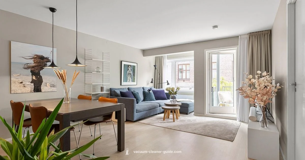 Flea Carpet Guide - Vacuum Cleaner Guide