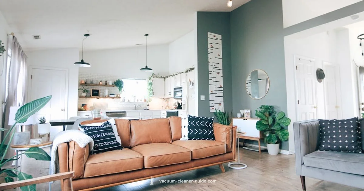 Miele-like Vacuum - Vacuum Cleaner Guide