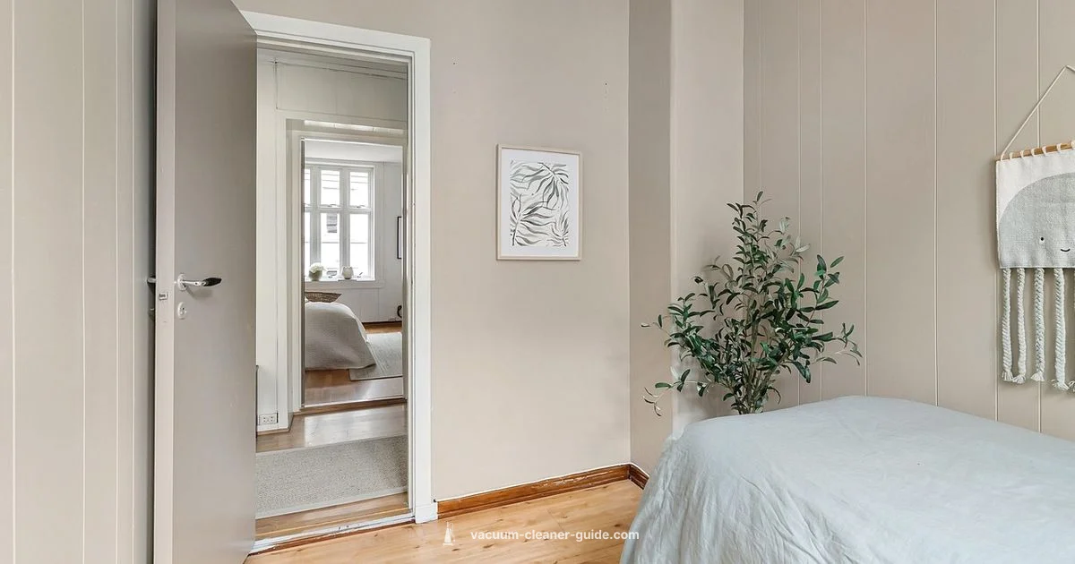 Top Dyson Dupes 2026 - Vacuum Cleaner Guide