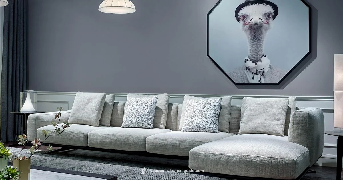 Clean Floors - Vacuum Cleaner Guide