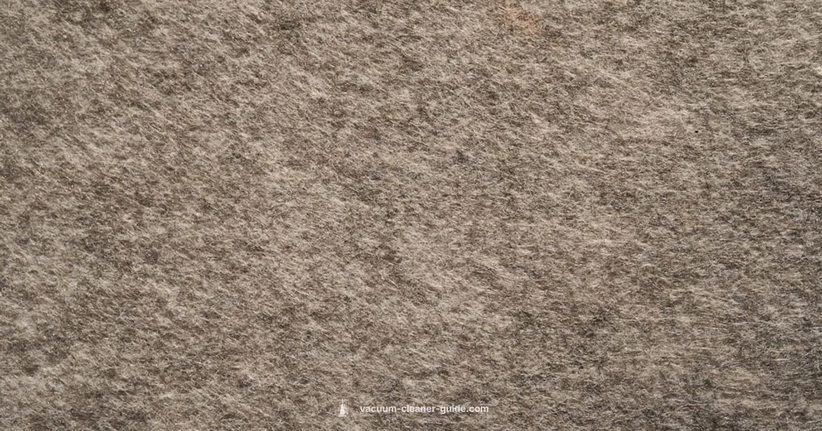 Best Carpet Steamers - Vacuum Cleaner Guide