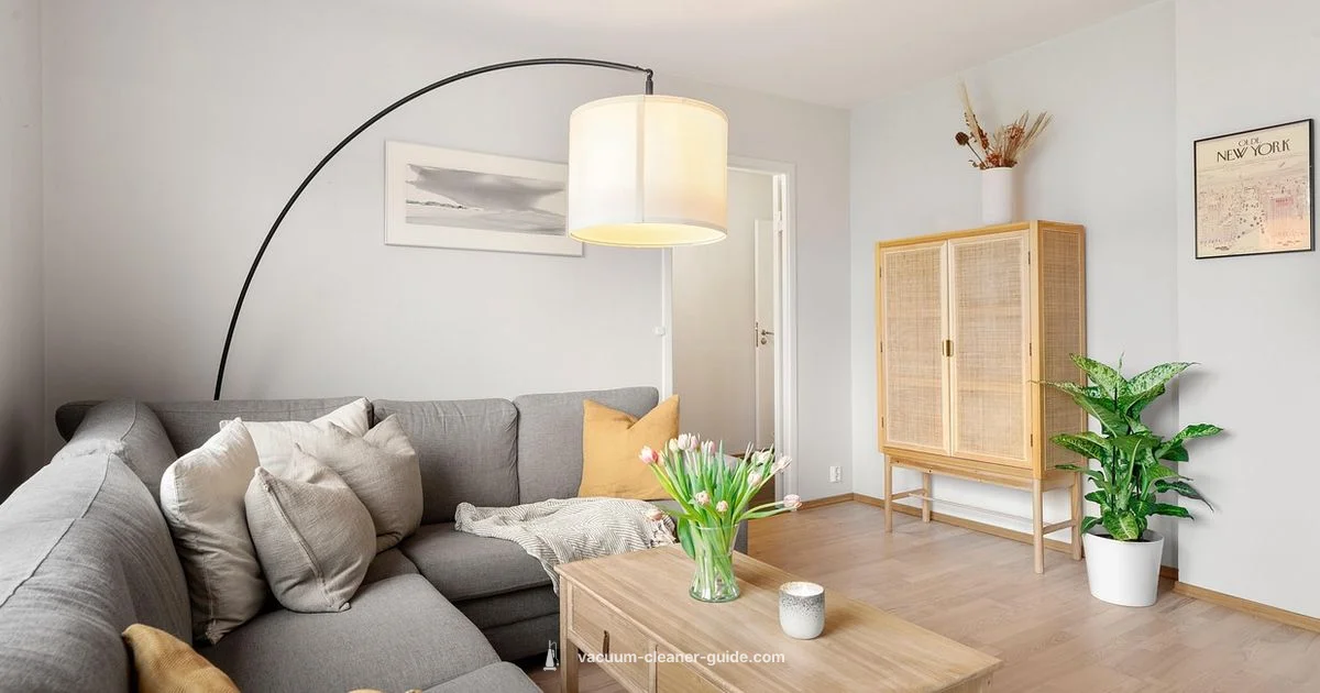 Sebo Vacuum Review - Vacuum Cleaner Guide