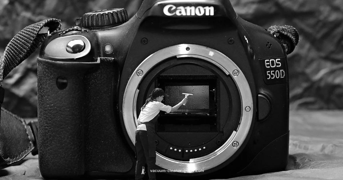 Interior Vacuum Cleaning - Vacuum Cleaner Guide