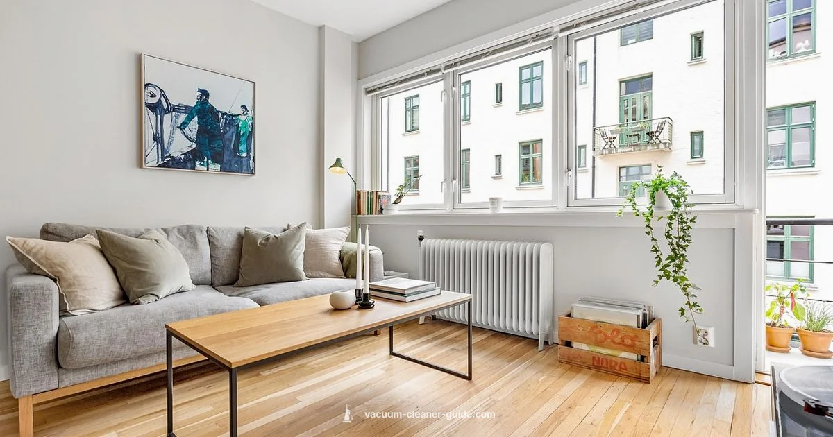 Dock and Clean - Vacuum Cleaner Guide