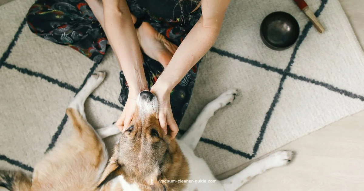 Pet Hair Powerclean - Vacuum Cleaner Guide