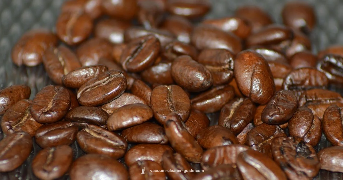 Purified Cleaning Power - Vacuum Cleaner Guide