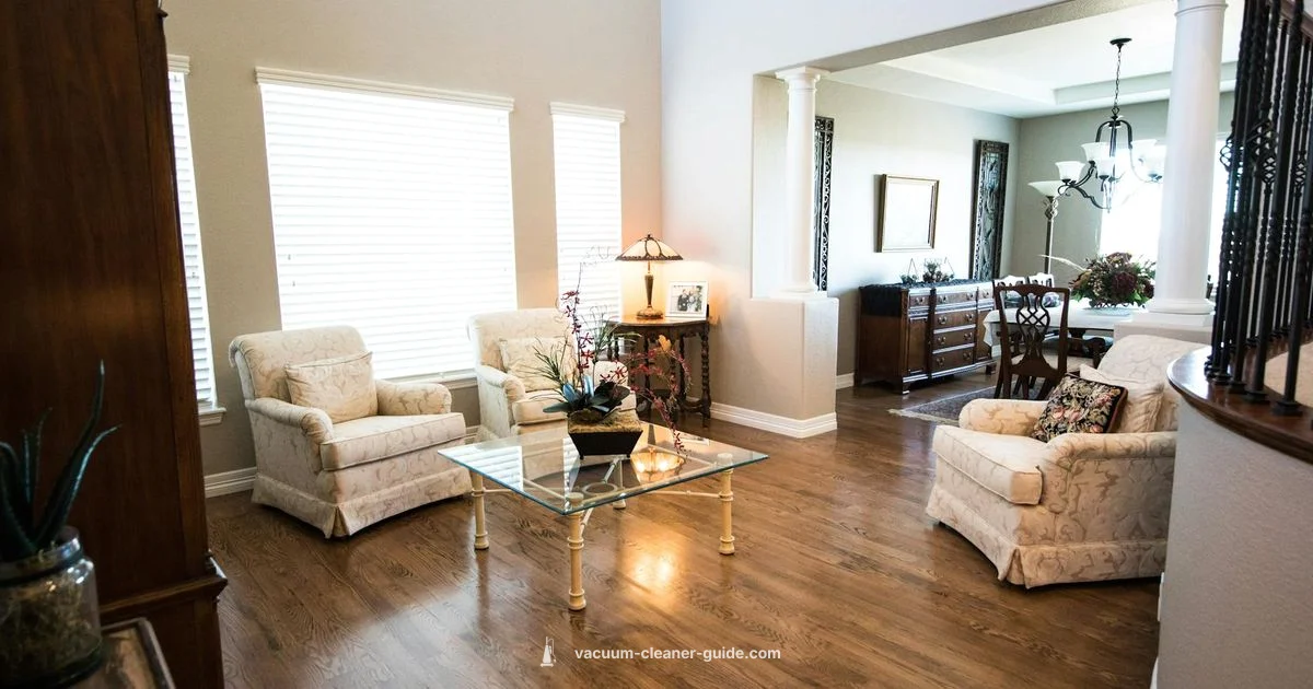 Dyson Vacuum Guide - Vacuum Cleaner Guide