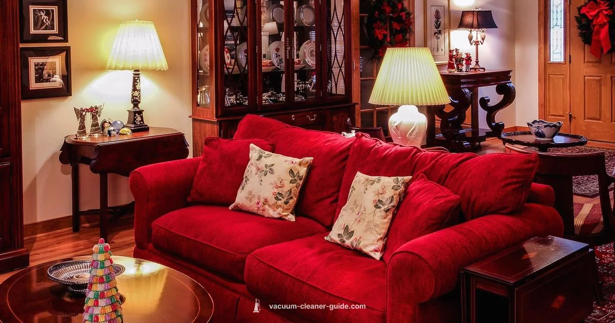 Carpet Vacuum Guide - Vacuum Cleaner Guide