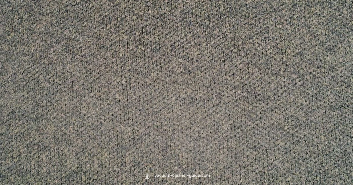 Fresh Carpet - Vacuum Cleaner Guide