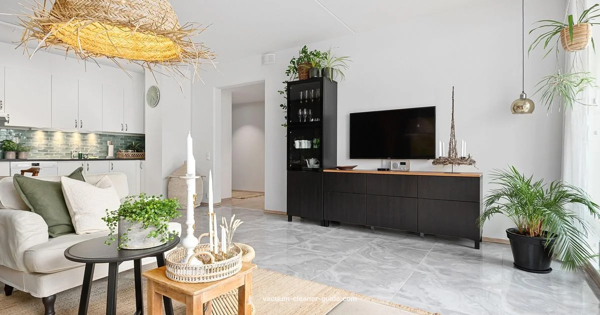 Car & Home Clean Power - Vacuum Cleaner Guide