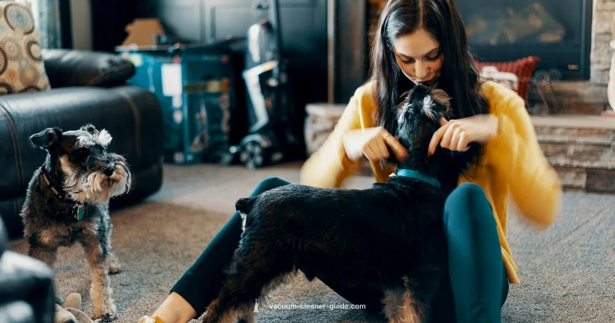 Pet Hair Power - Vacuum Cleaner Guide