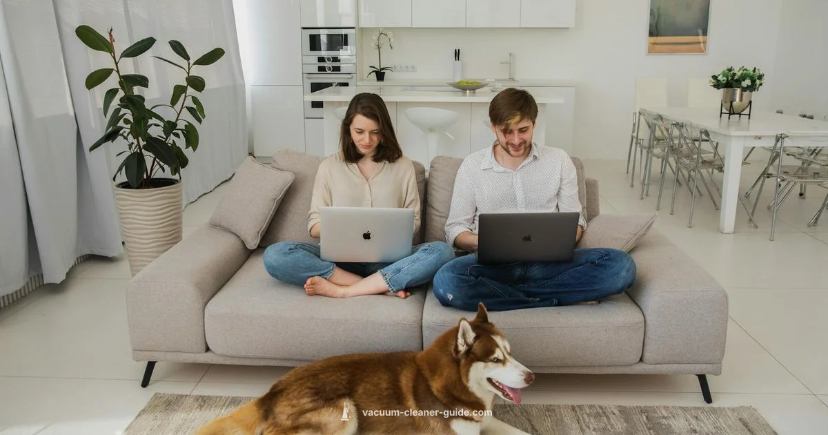 i7 in Action - Vacuum Cleaner Guide