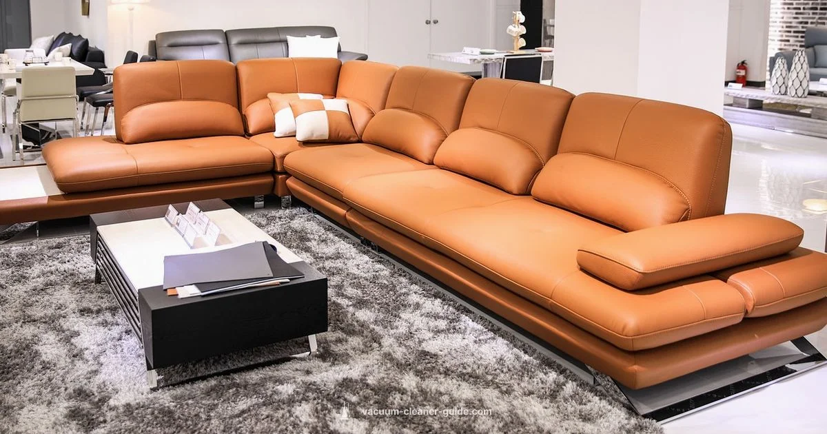 Replacement Guide - Vacuum Cleaner Guide