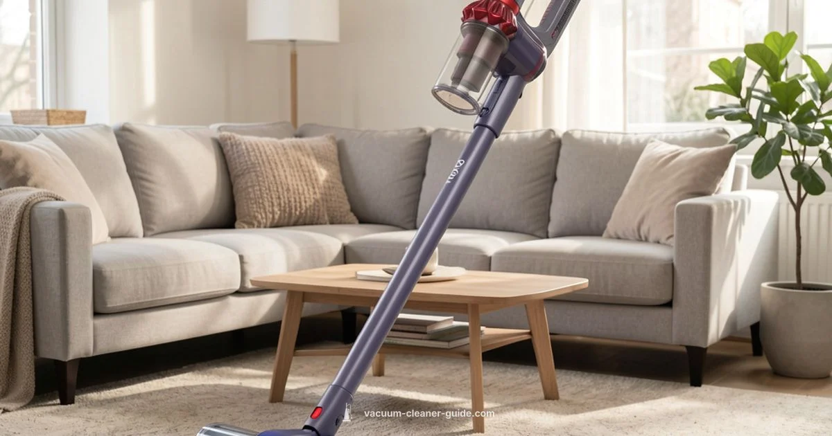 Best Price Dyson - Vacuum Cleaner Guide