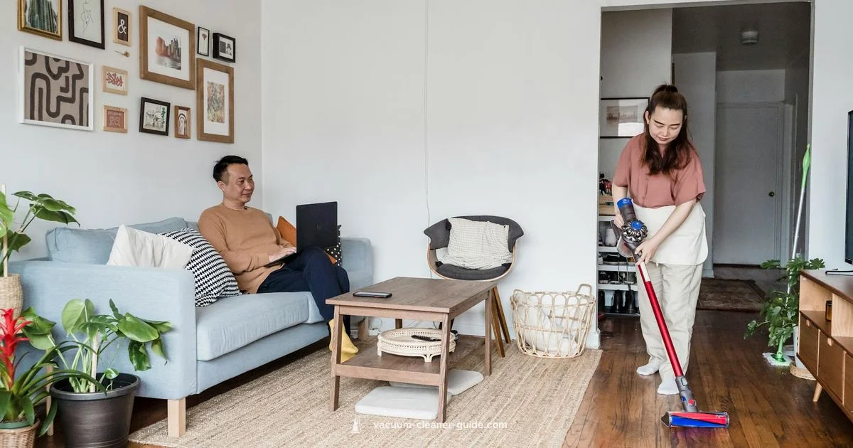 Power Down Dyson - Vacuum Cleaner Guide