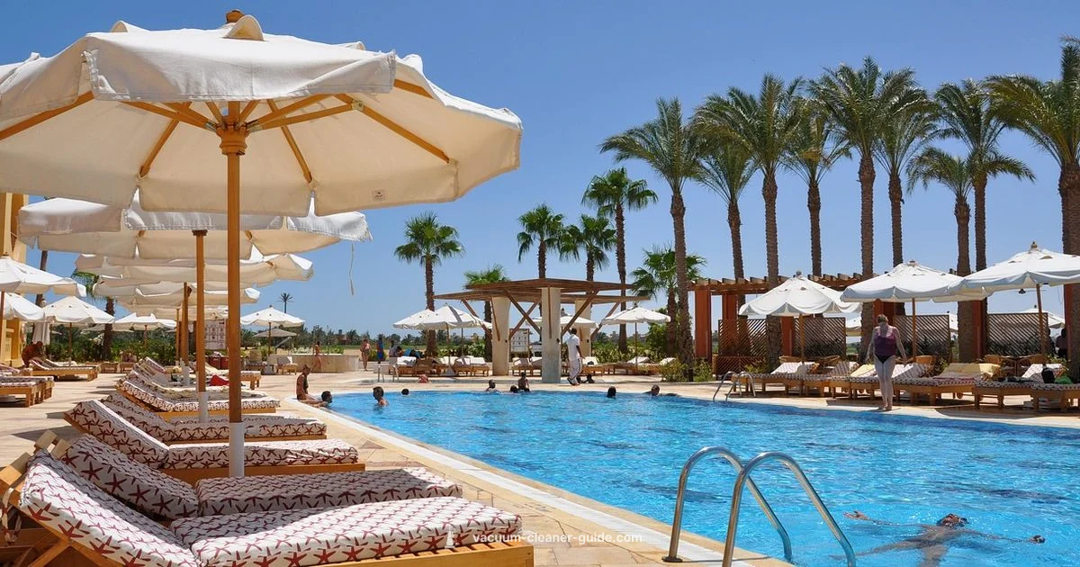 Top Pool Vacuum Picks - Vacuum Cleaner Guide