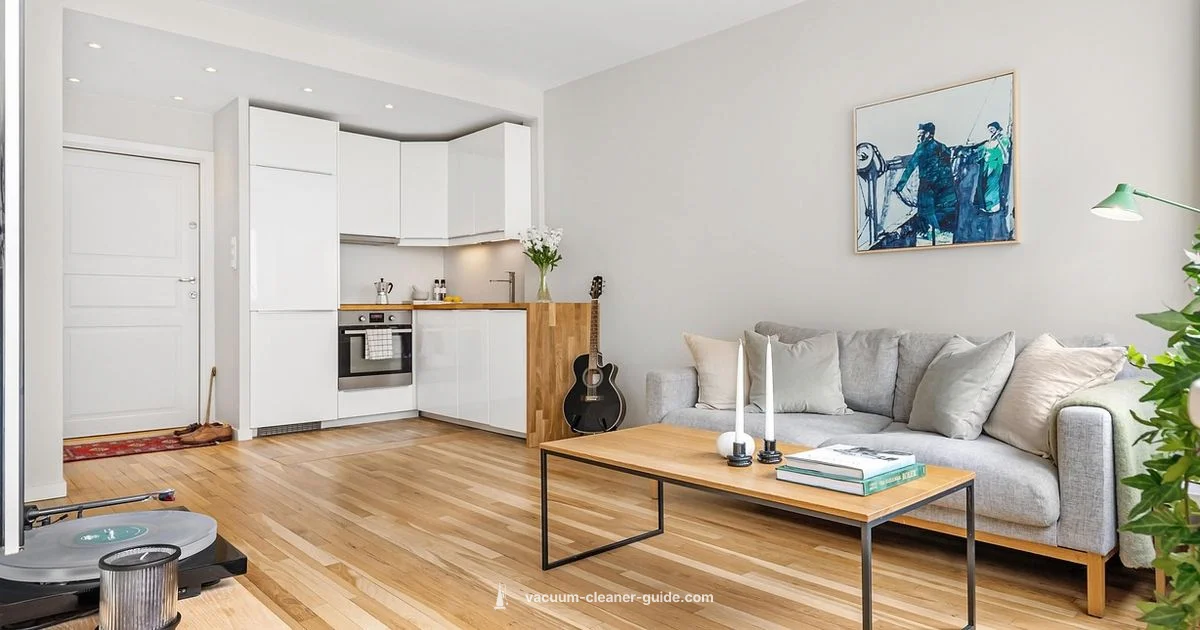 Budget Vacuums 2026 - Vacuum Cleaner Guide