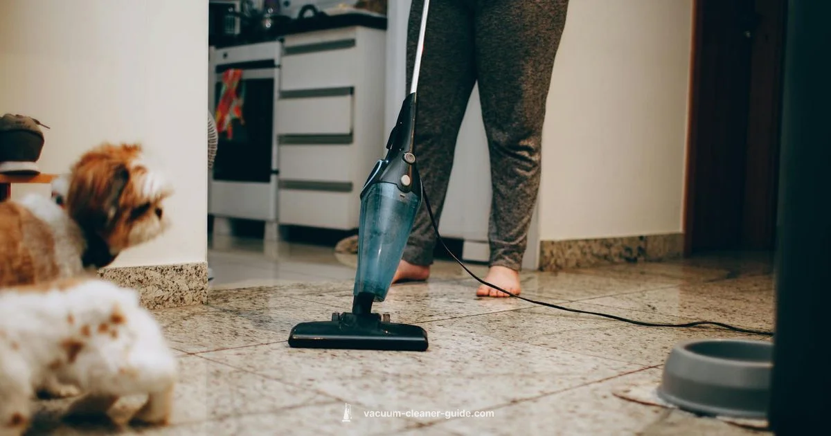 Top Home Vacuum Picks Top Home Vacuum Picks - Vacuum Cleaner Guide