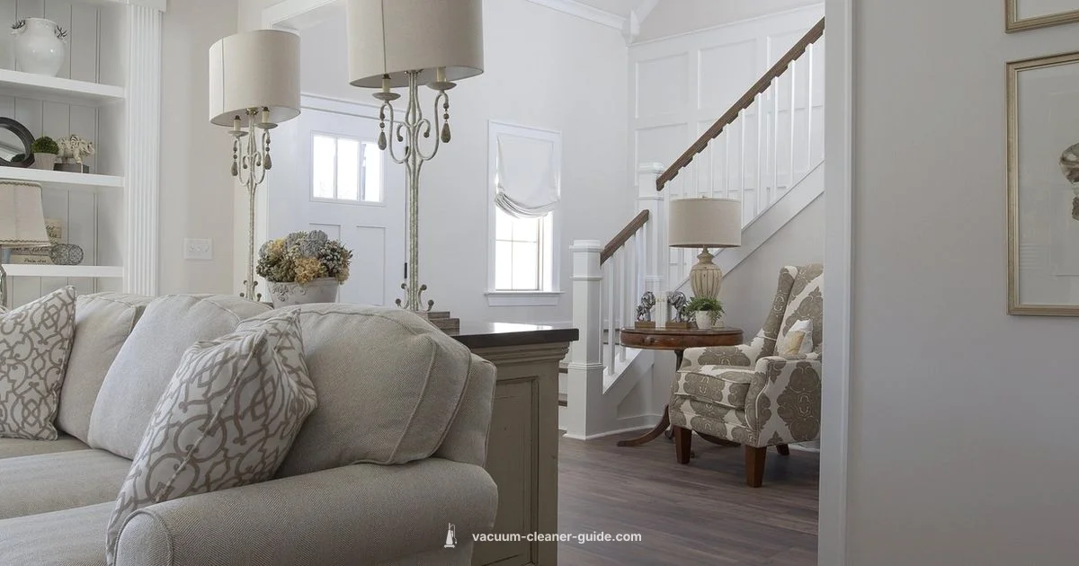 Near Me Picks - Vacuum Cleaner Guide