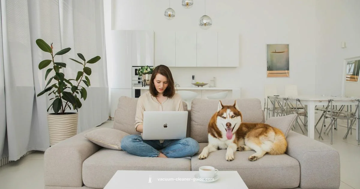 Pet Hair Ready - Vacuum Cleaner Guide