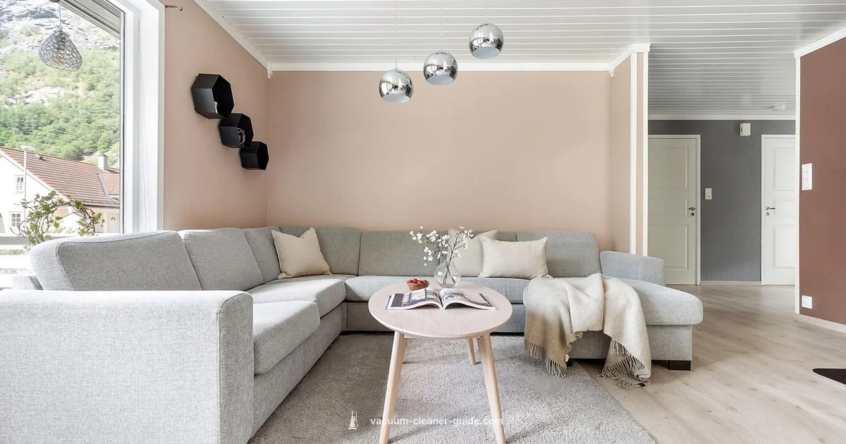 Dyson V8 Absolute Review - Vacuum Cleaner Guide