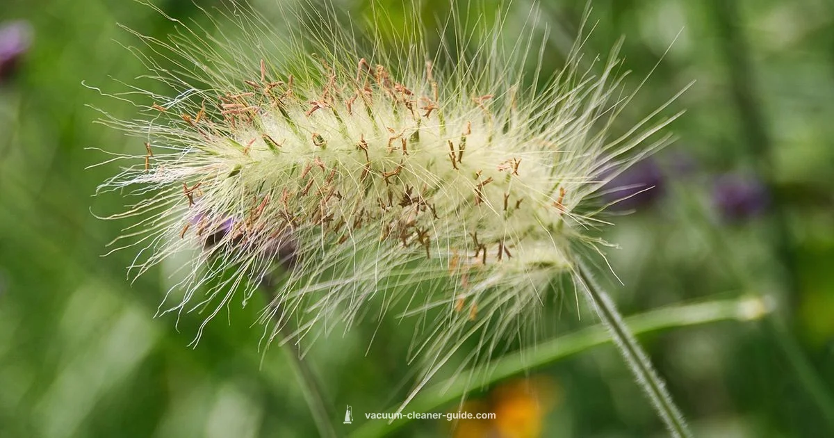 Rainbow Parts Guide - Vacuum Cleaner Guide