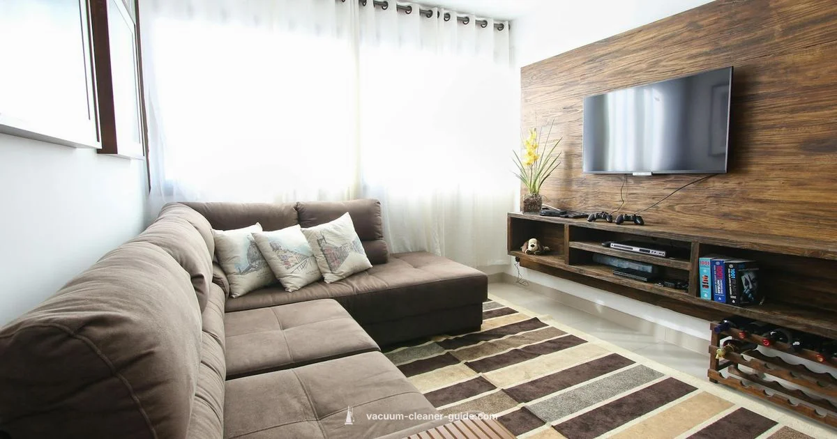 Dyson Stick Overview - Vacuum Cleaner Guide