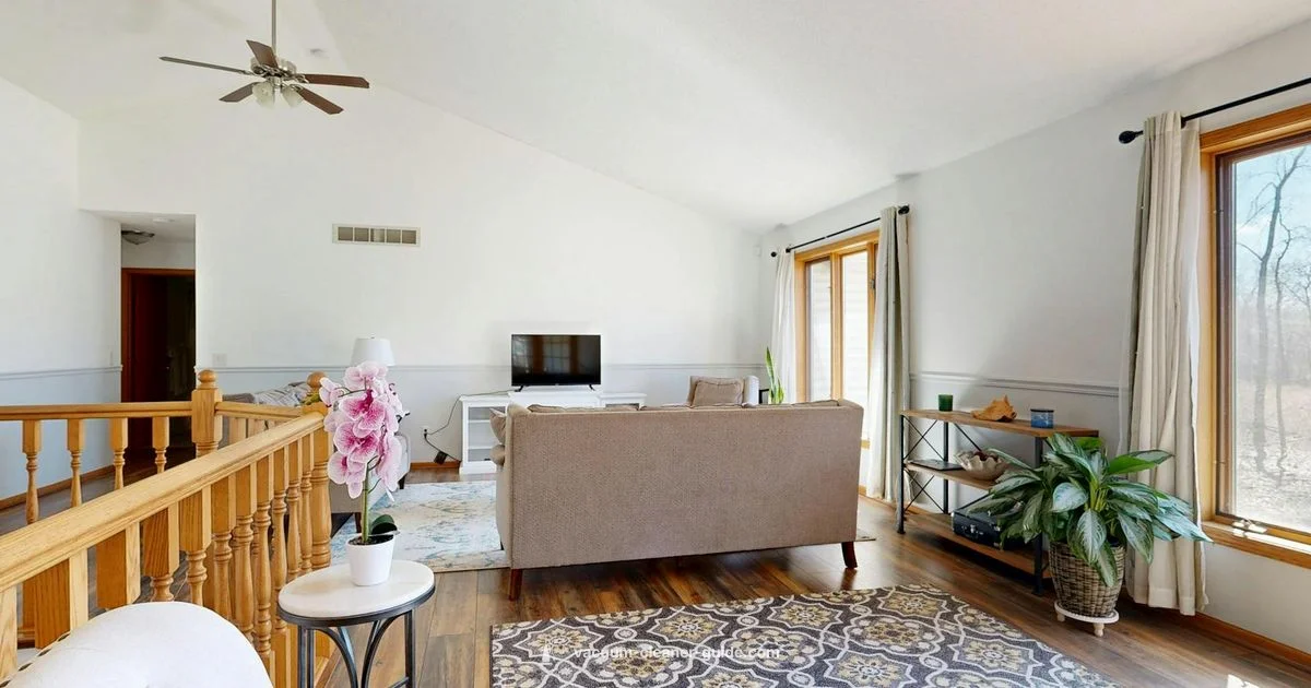 Dyson Care Guide - Vacuum Cleaner Guide