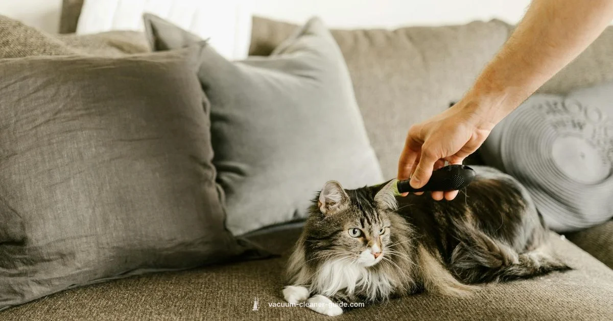 Dyson Animal Review - Vacuum Cleaner Guide