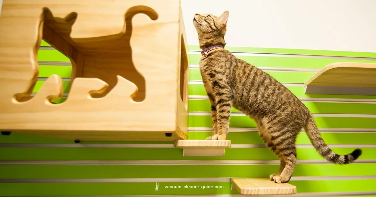 Pet-Hair Power Pet-Hair Power - Vacuum Cleaner Guide