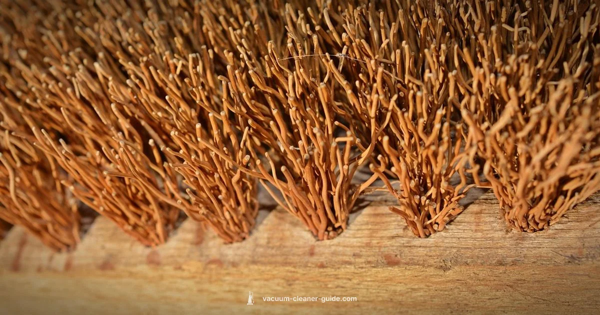 Brush Cleaning Guide - Vacuum Cleaner Guide