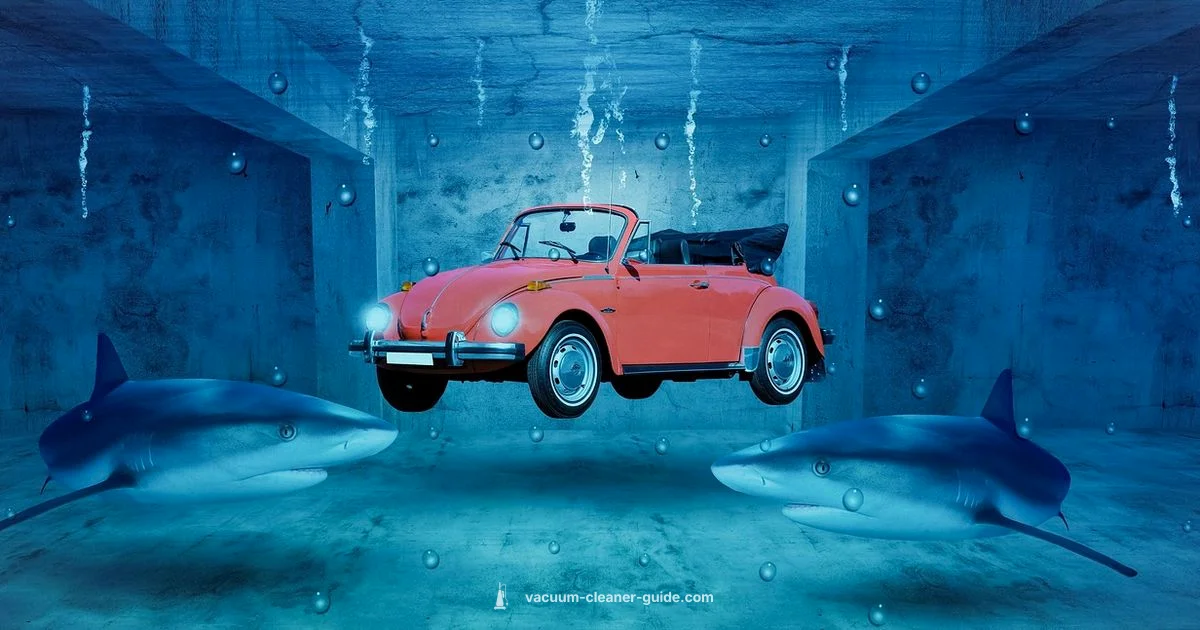 Shark Wet-Dry Vacuum - Vacuum Cleaner Guide