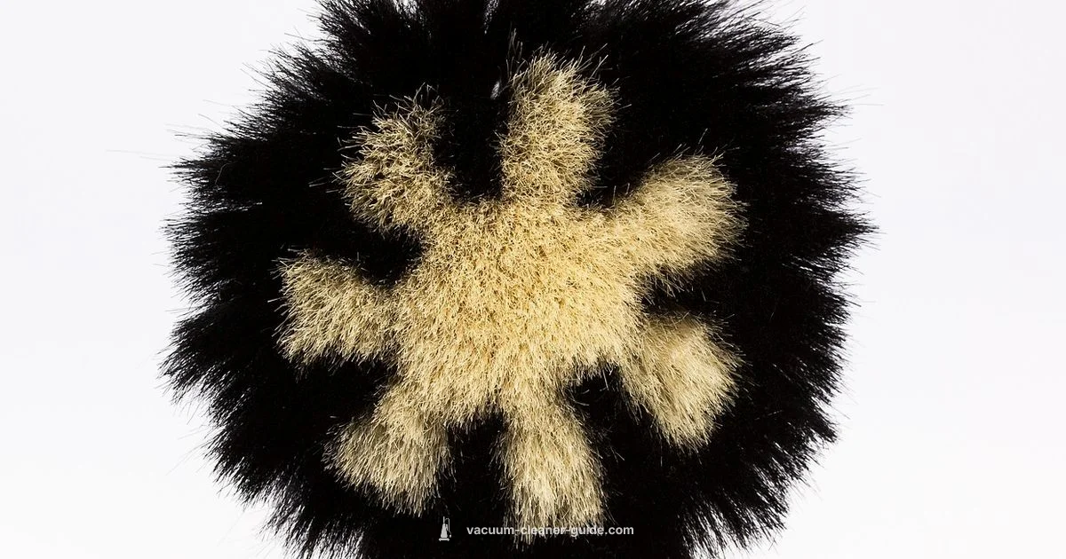 Pet Hair Cleanup - Vacuum Cleaner Guide