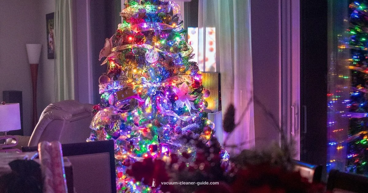 Rainbow Vacuum Guide - Vacuum Cleaner Guide