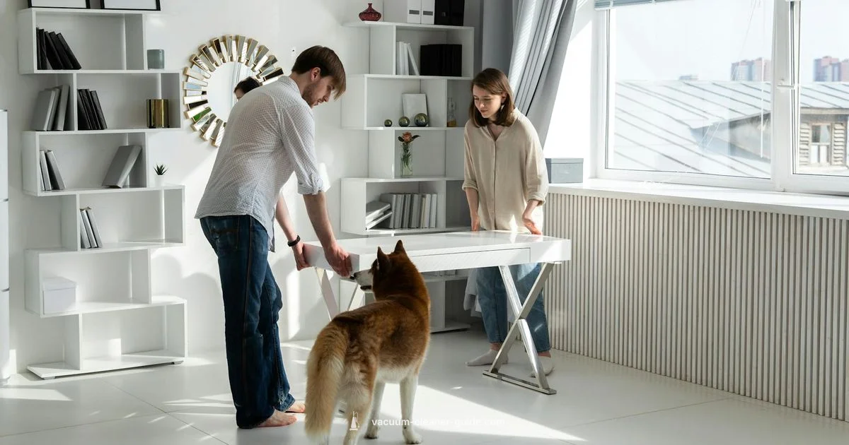 Pet Hair Power - Vacuum Cleaner Guide