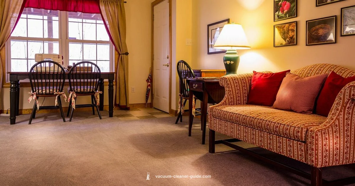 Top Carpet Cleaners 2026 - Vacuum Cleaner Guide