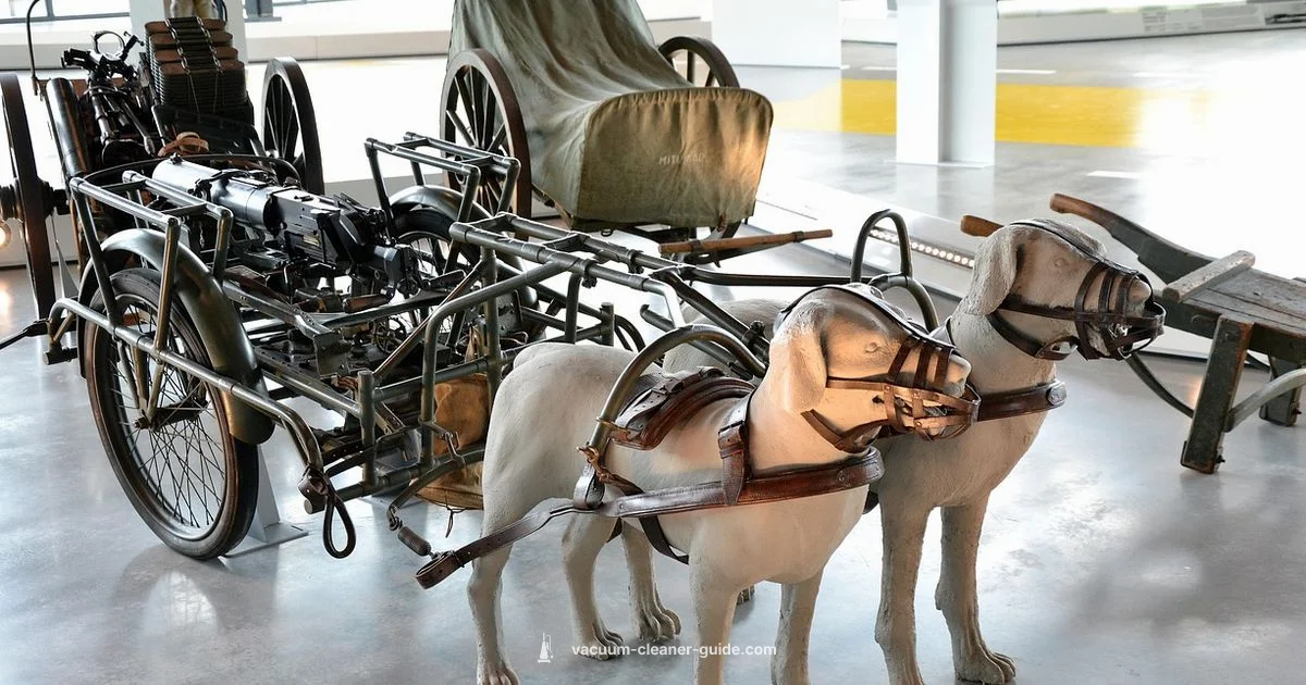 AI Vacuums - Vacuum Cleaner Guide