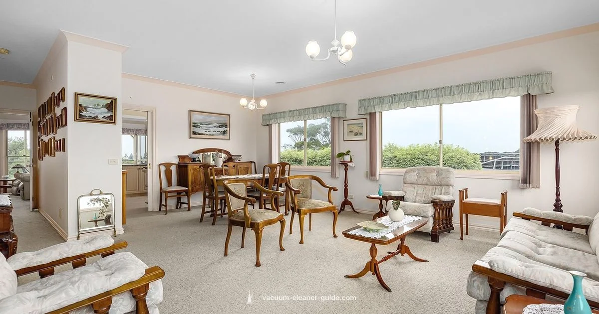 Outsize Power - Vacuum Cleaner Guide